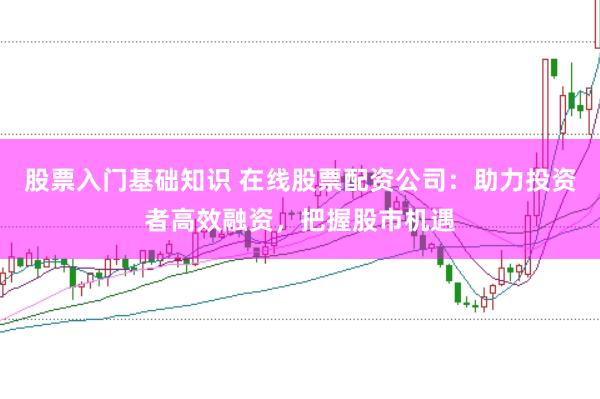 股票入门基础知识 在线股票配资公司：助力投资者高效融资，把握股市机遇