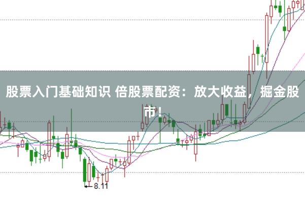 股票入门基础知识 倍股票配资:放大收益,掘金股市!