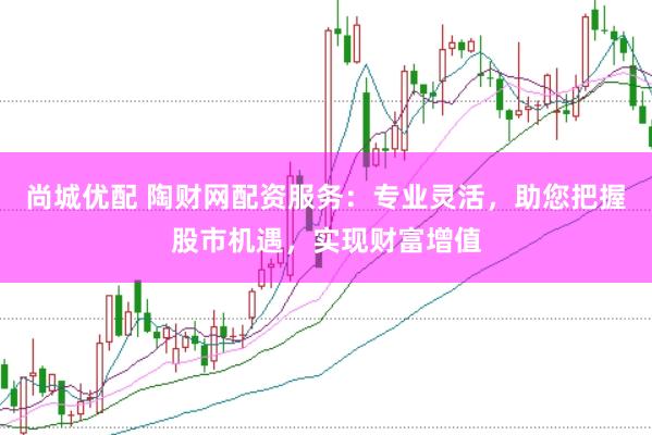 尚城优配 陶财网配资服务：专业灵活，助您把握股市机遇，实现财富增值