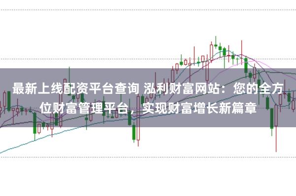 最新上线配资平台查询 泓利财富网站：您的全方位财富管理平台，实现财富增长新篇章